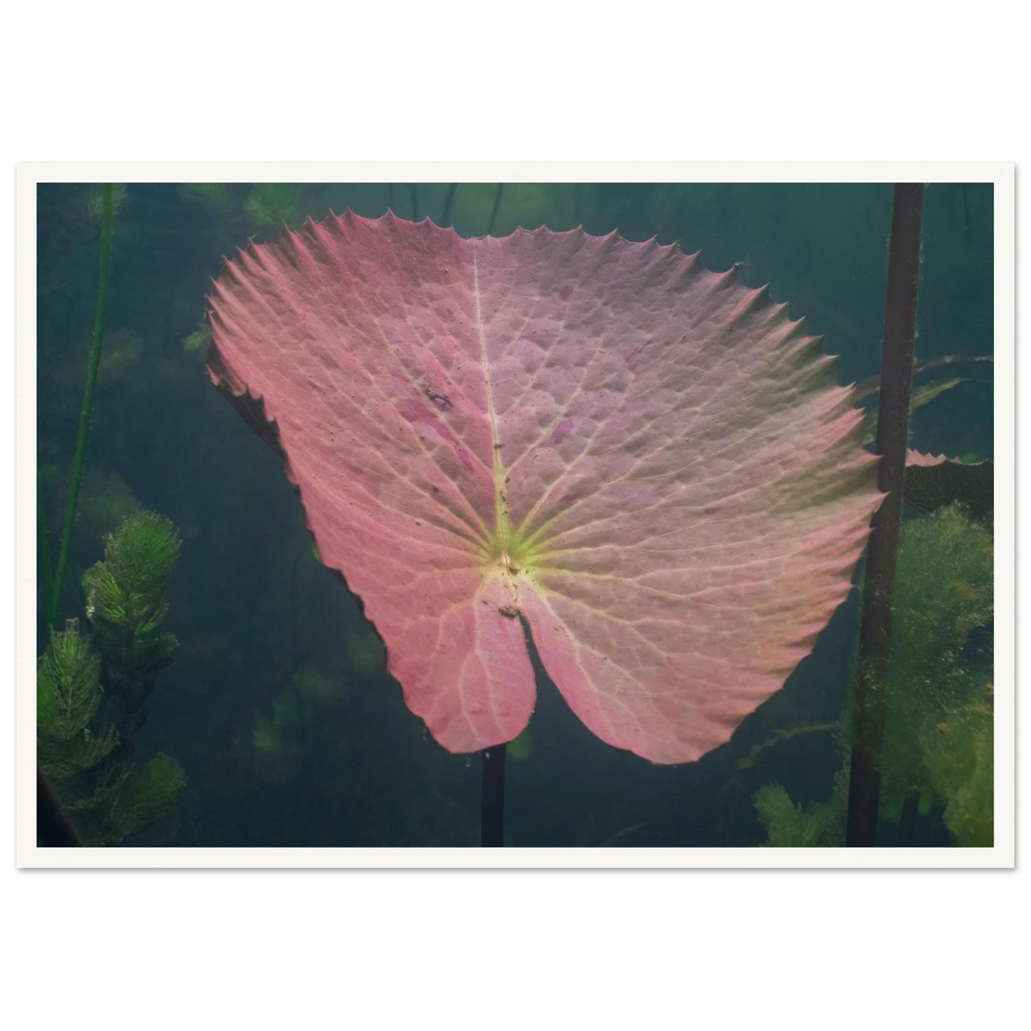 571c1334-cec7-483c-a729-3ef39c24d8db