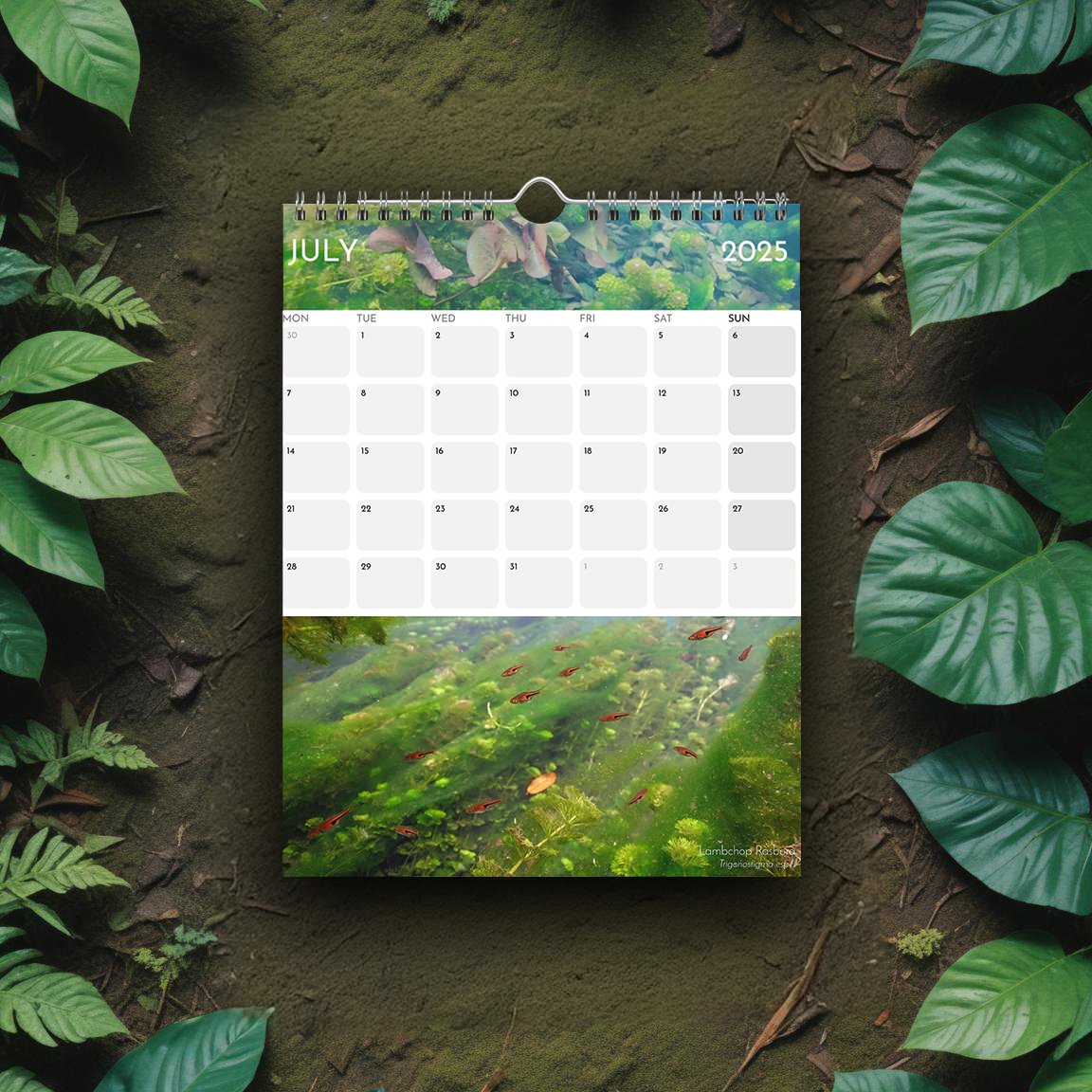 Thai Freshwater Fish Calendar 2025