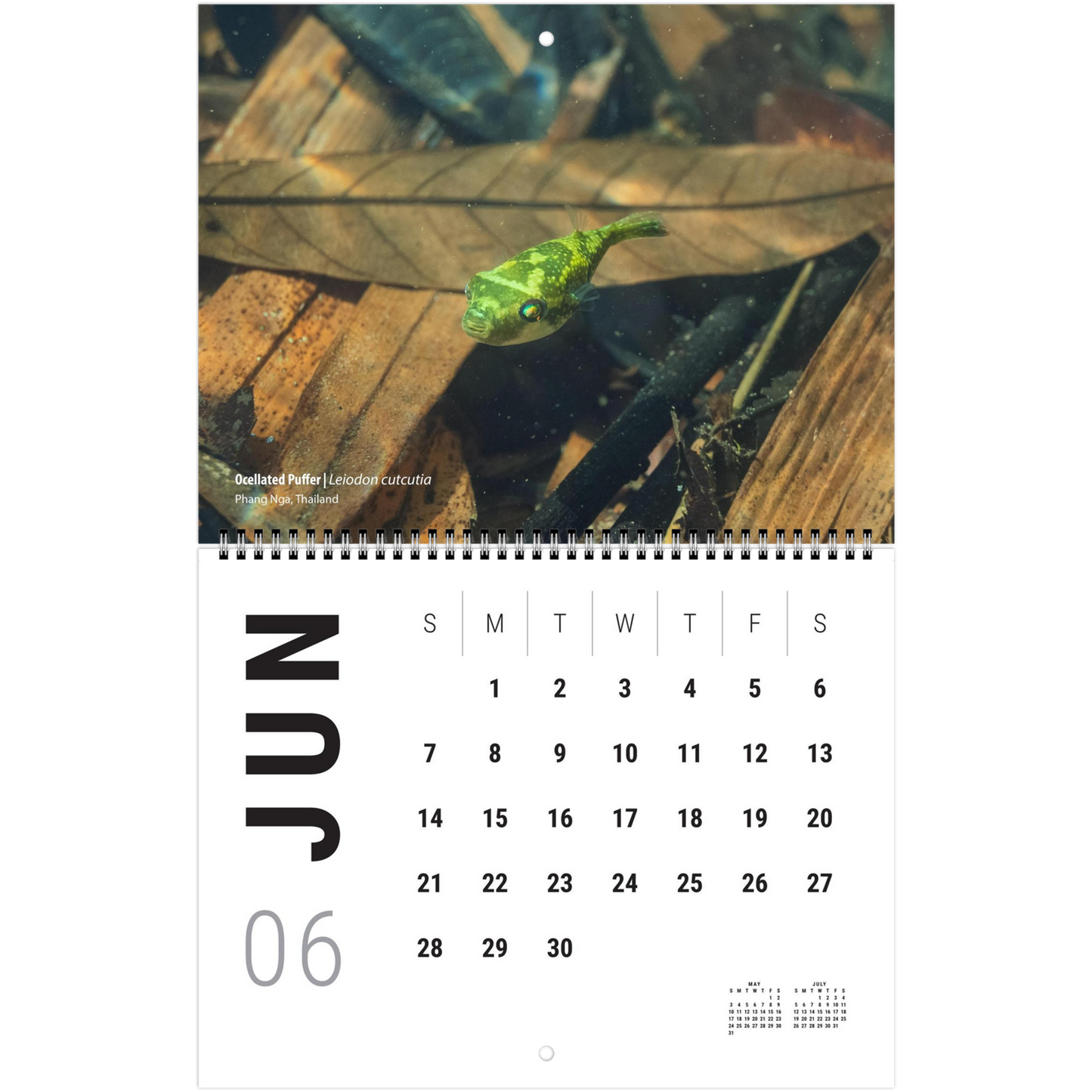 0fd17046-c8b1-43e9-b873-1a7134fdf7d1