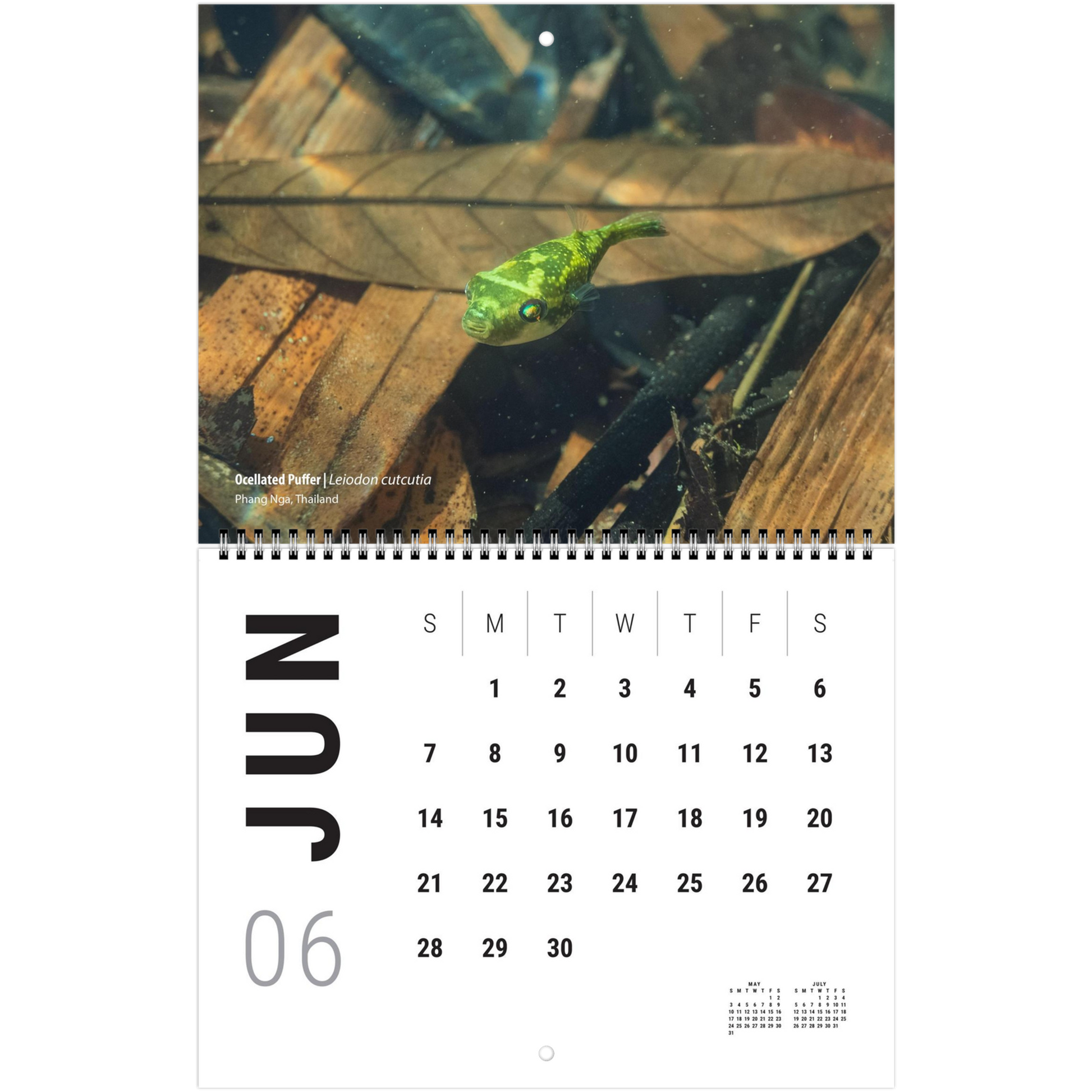 0fd17046-c8b1-43e9-b873-1a7134fdf7d1