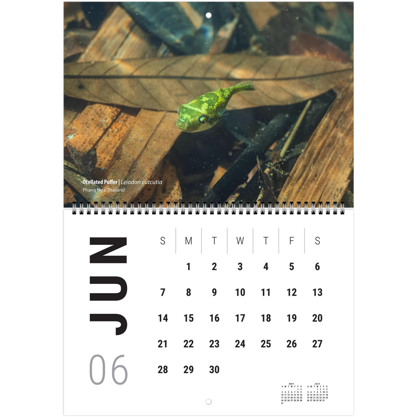 65b9939d-9efa-44a7-9258-4da8f94a3f15