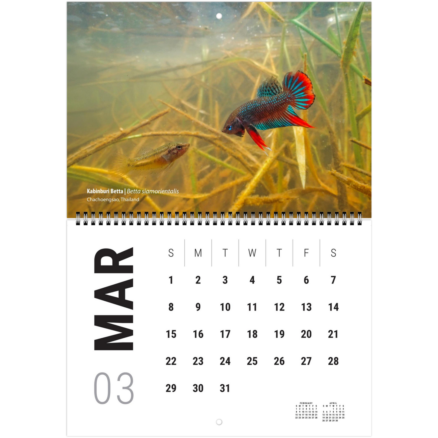 9553f532-48f8-4236-87c9-ca74aa513bea