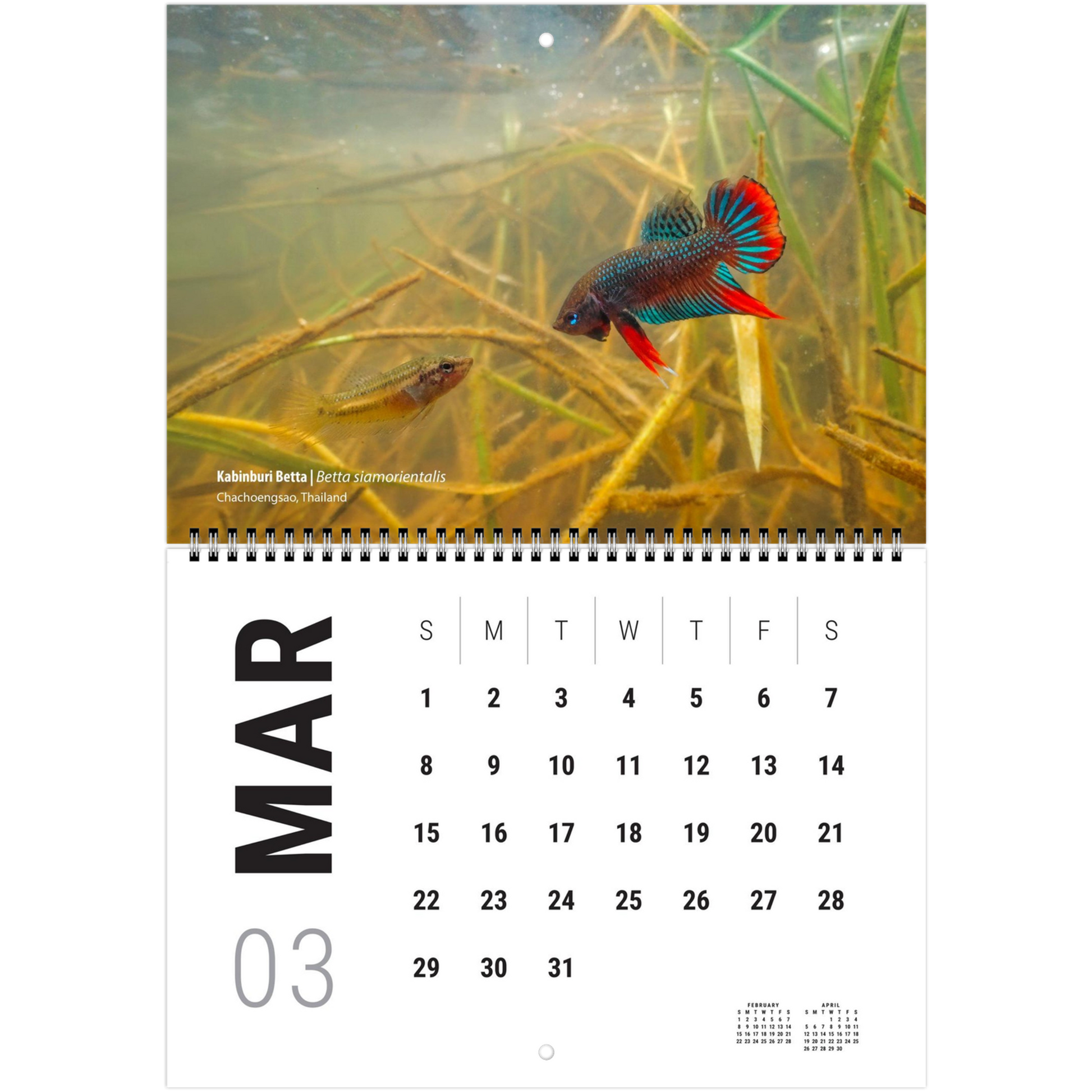 9553f532-48f8-4236-87c9-ca74aa513bea