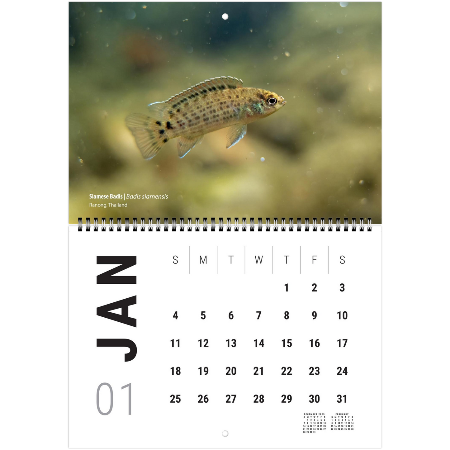 9667b5da-b442-4f75-8cc4-1fb87af2e8a3