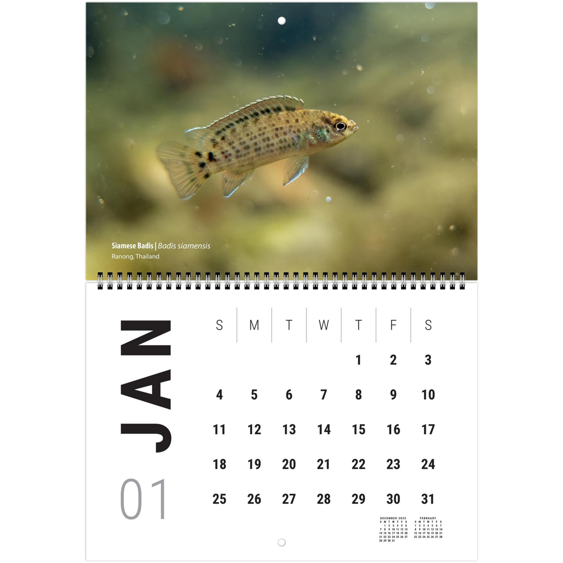 9667b5da-b442-4f75-8cc4-1fb87af2e8a3