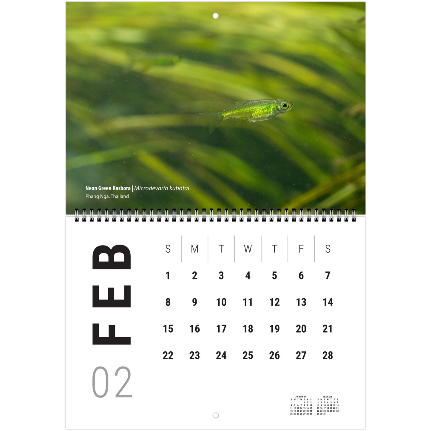 96d023e5-e942-4731-b5db-8075e8cd13cb