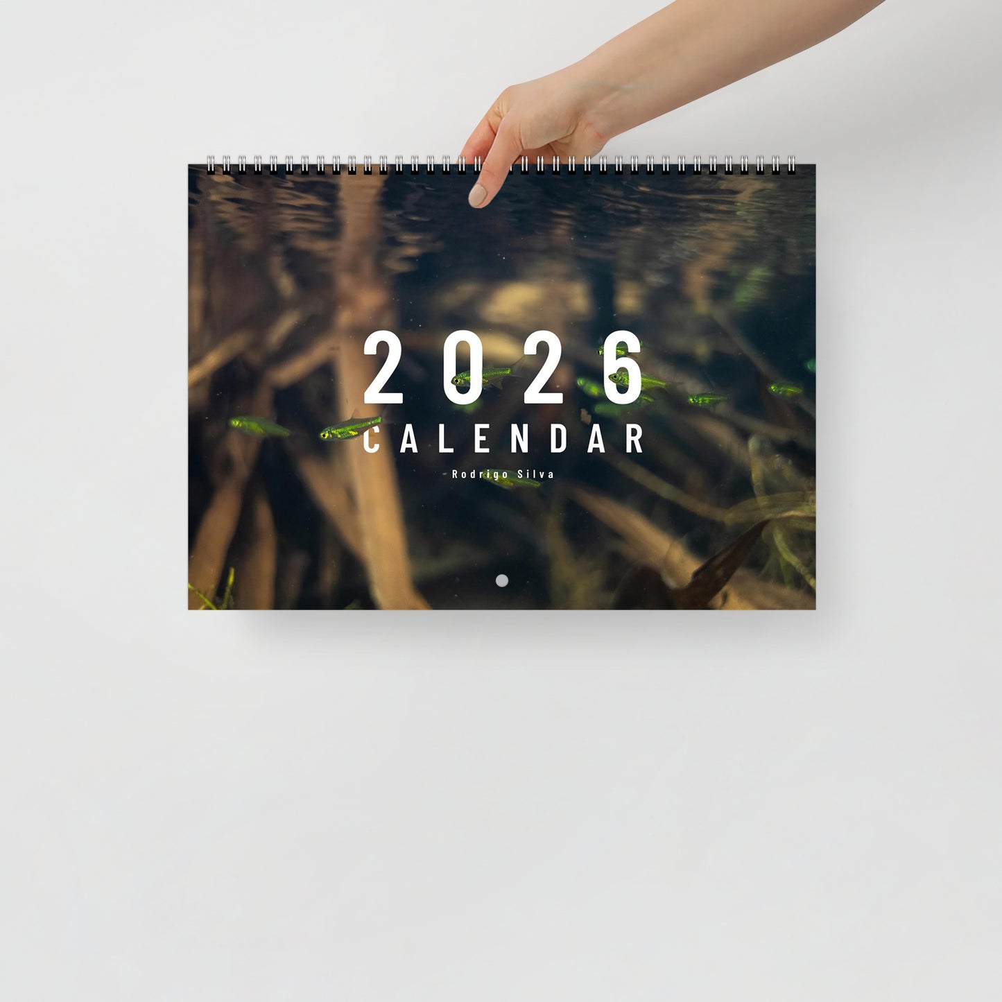 Wall calendar 2026 (Rest of The World)